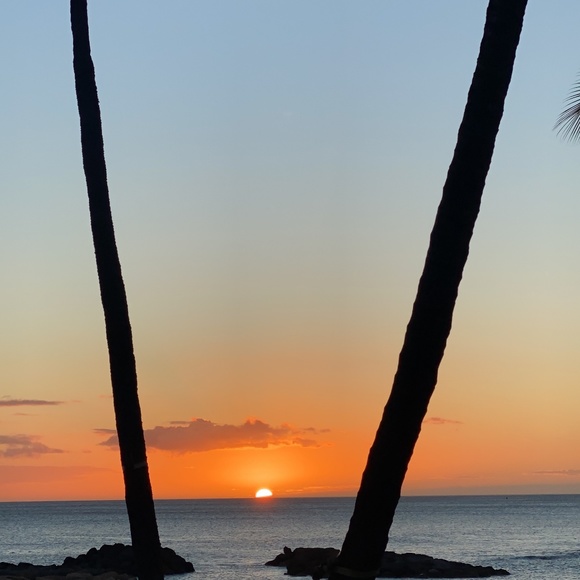 Meet your Posher, Diamond 💎 - Picture 1 of 1